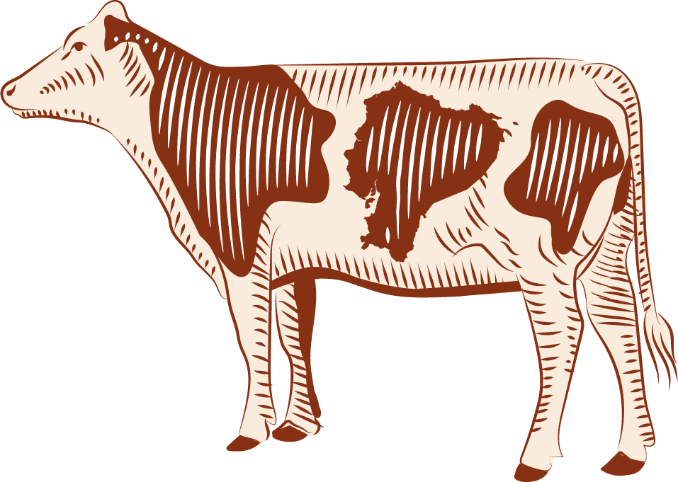 Vacona 