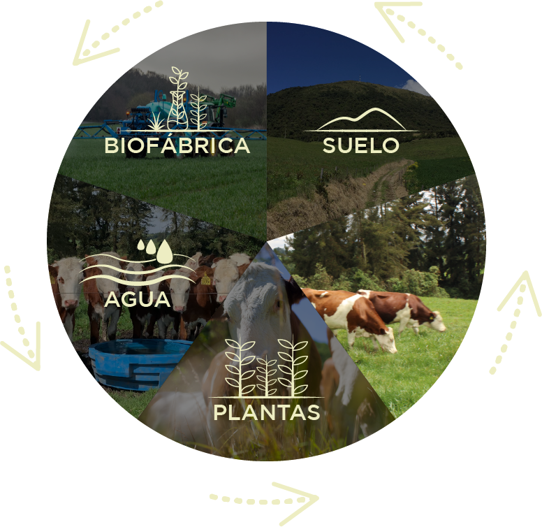 Biofábrica, proceso circular 